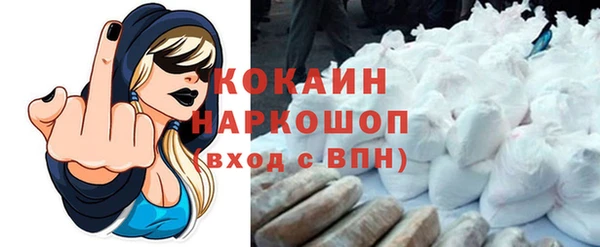гашик Балахна