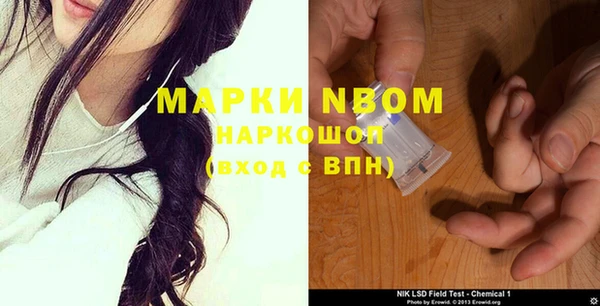 гашик Балахна