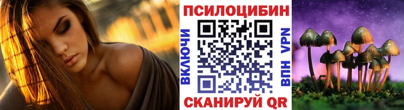 как найти   Салаир  Галлюциногенные грибы ЛСД 